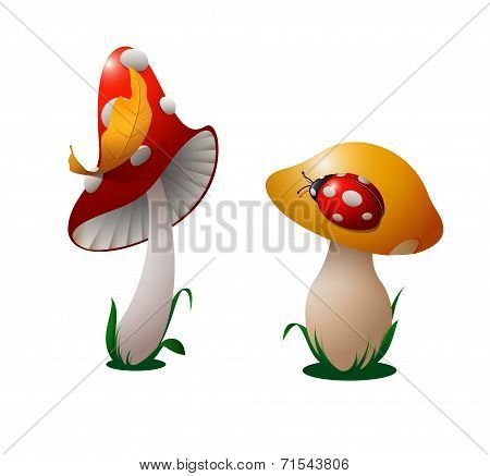 Two Mushrooms.