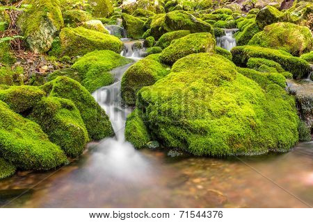Small Forest Stream Near Third Vault Falls