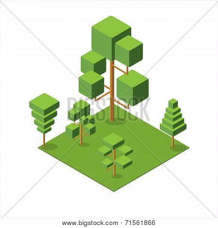 Isometric Tree