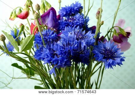 Bouguet With Cornflower And Sweetpea