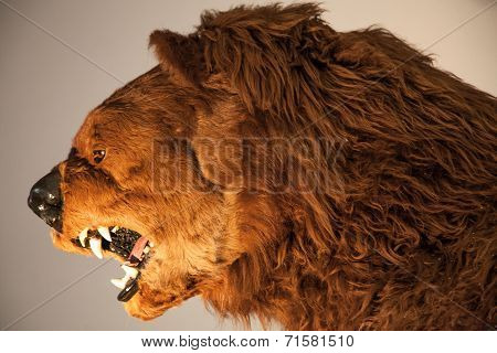 Realistic Model Of Prehistoric Animal