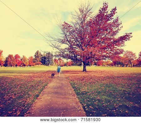  a woman walking with her pit bull in a park on an autumn day toned with a retro vintage instagram filter 