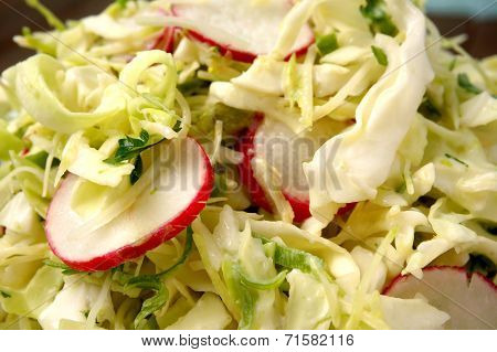Fresh Summer Cole Slaw