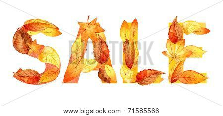 autumn leaves. Autumn sale watercolor.