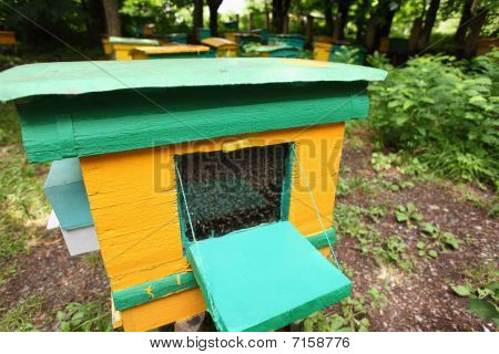 beegarden. en en gammel beehive i fokus.