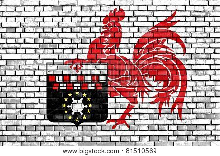 Flag Of Charleroi Painted On Brick Wall