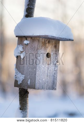 Frozen bird house