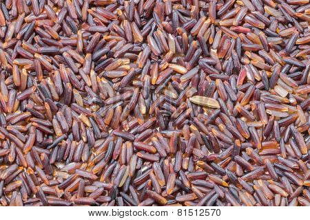 Close-up  brown rice background