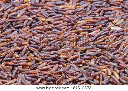 Close-up  brown rice background