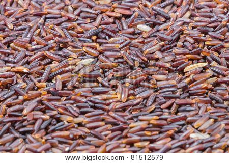 Close-up  brown rice background