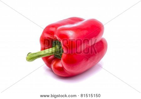 Paprika I on White Background