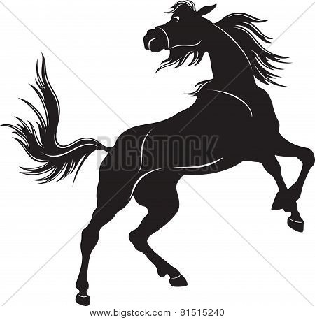 Wild Horse