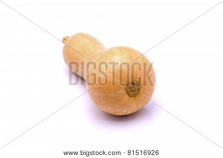 Pumpkin On White Background
