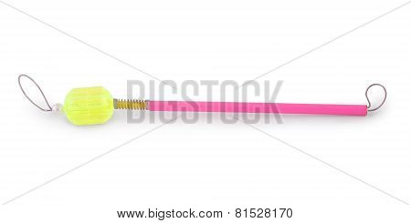 Nocturnal Swinger Closeup (clipping Path)