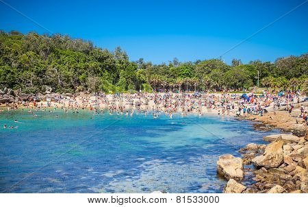 People relaxing on beautiful sandy Shelly beach in Manly, Sydney, Australia.