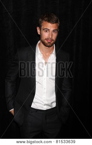 LOS ANGELES - FEB 28:  Theo James at the 2014 Publicist Luncheon at Beverly Wilshire Hotel on February 28, 2014 in Beverly Hills, CA