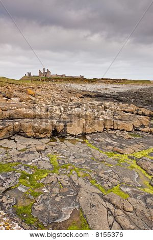 Dunstanburgh Castle a mořských řas