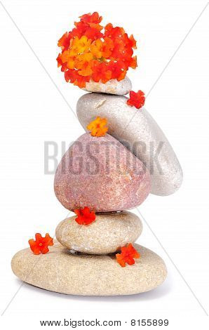 Zen Stones a květiny