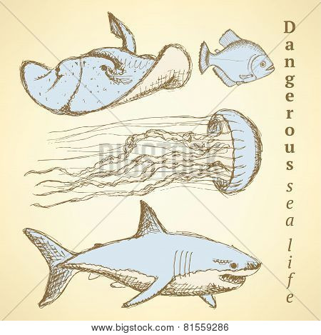 Sketch Sea Creatures In Vintage Style