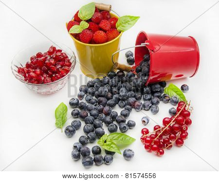Fresh Berries