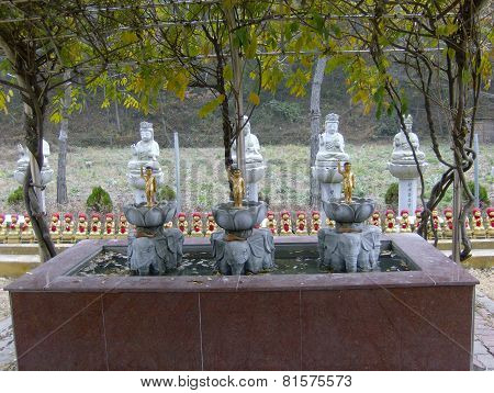 Little Buddha