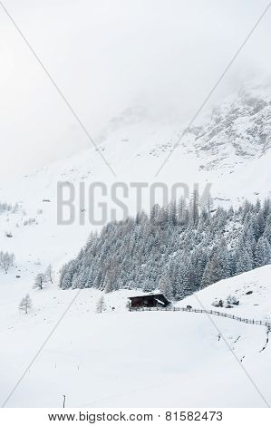winter scenery