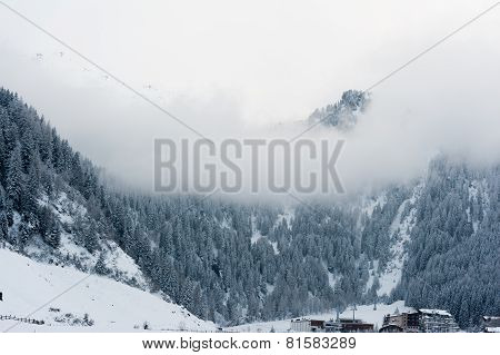 winter scenery