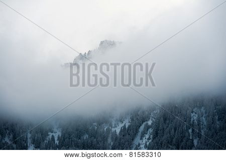 winter scenery