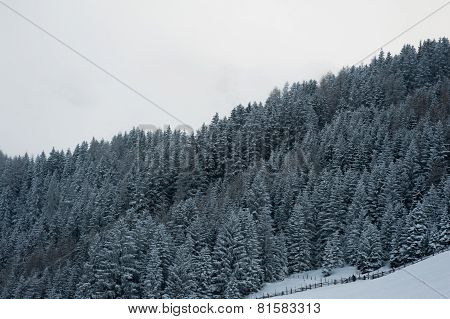 winter scenery
