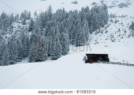 winter scenery