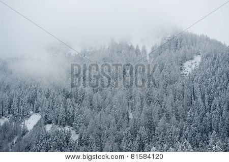 winter scenery
