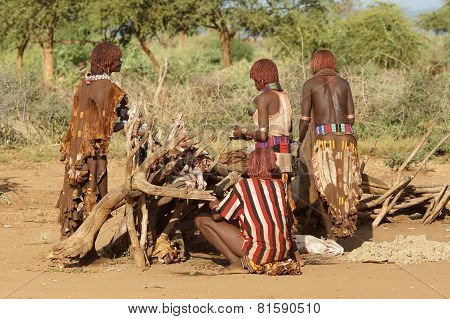 Hamer, Ethiopia, Africa
