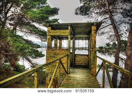 Wooden Bird Watching Cabin In Hdr