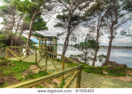 Wooden Birdwatching Cabin By The Water