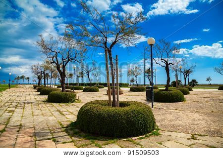 Park Del Mar In Spring