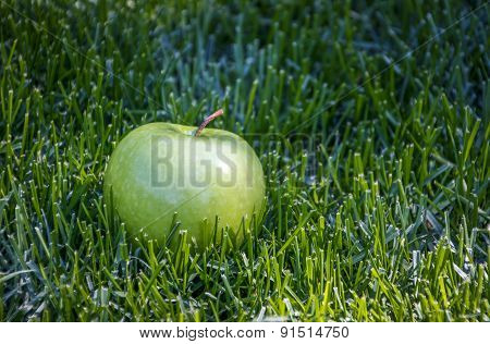 simply green