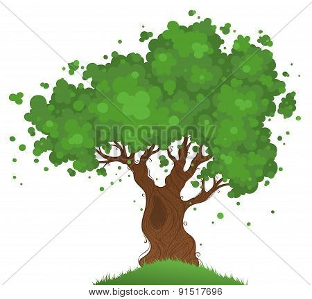 Lonely Tree.