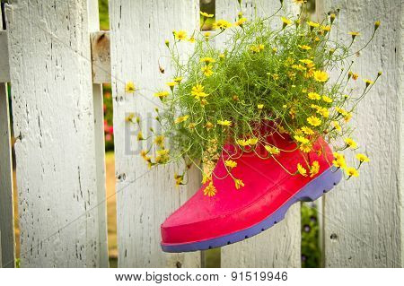 Boot With Flower On The Fench