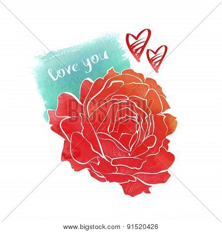 Watercolor rose hand drawing