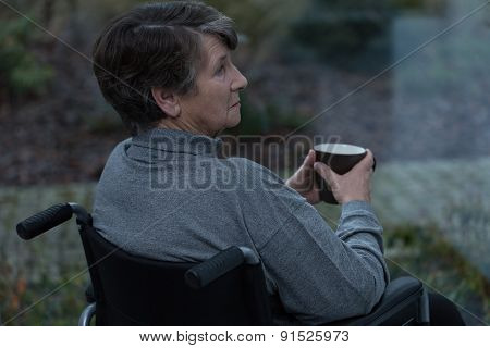 Senior In A Wheelchair