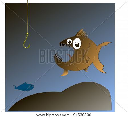 Fish looks at the hook