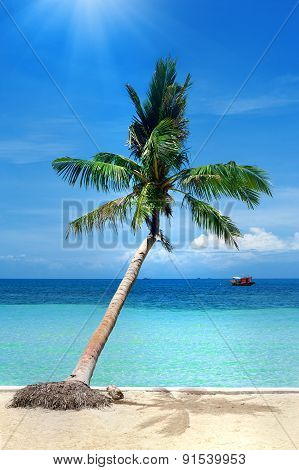 Tropical beach
