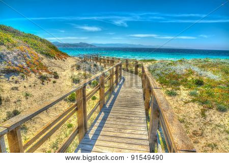Wooden Boardwalk In Capo Testa