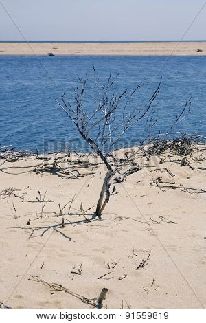 Chappaquiddick beach