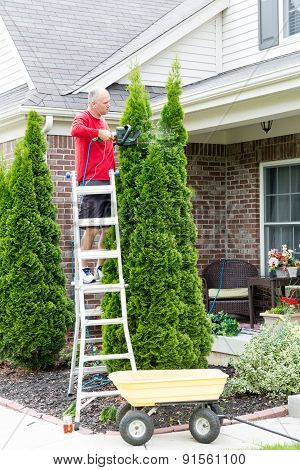 Senior Man Cutting Thuja Using Hedge Trimmer