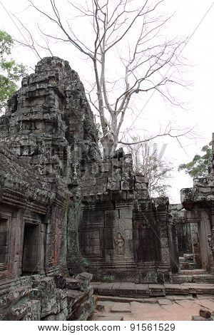 Banteay Kedi Temple in Angkor, Siem Reap, Cambodi