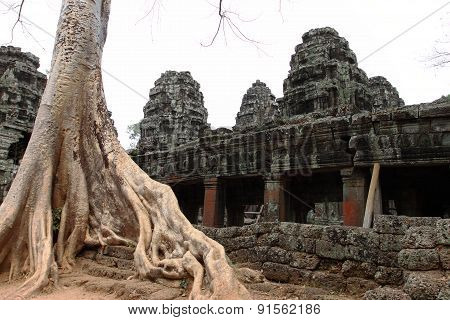 Banteay Kedi Temple in Angkor, Siem Reap, Cambodi