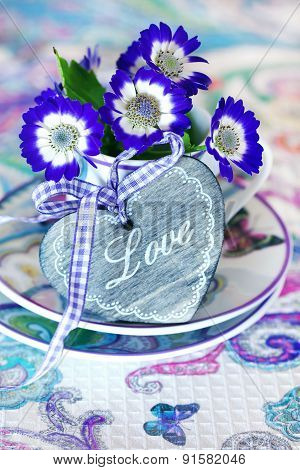 violet flowers