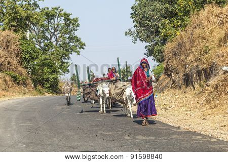 Village People Move With All Their Goods To The Next Living Ground