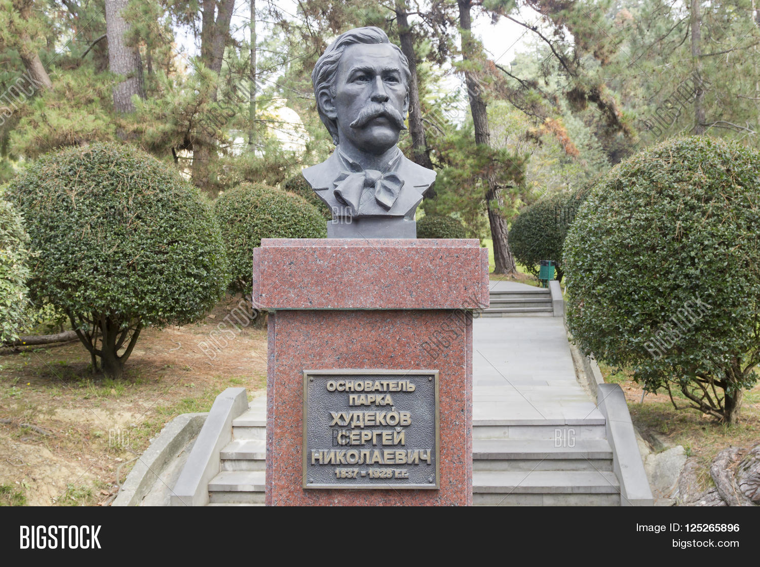 худеков. сочинский дендрарий худеков. худеков. худеков. сочинский дендрарий худеков.